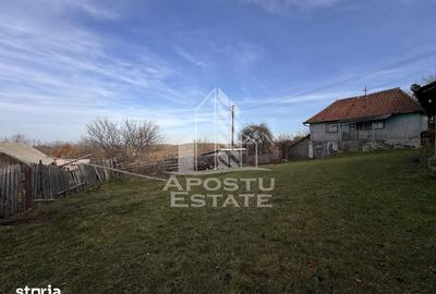 Casă cu 4 camere cu Teren 2231 Mp în Cerbăl - 11