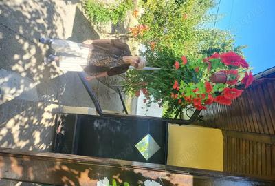 Casă cu 2 camere în Vitănești - 3