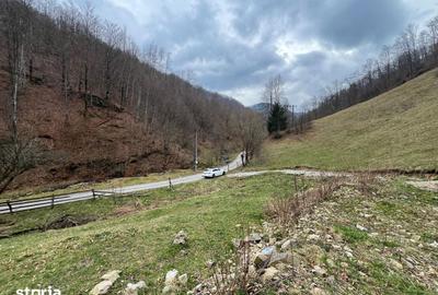Teren de 12877 mp, în Bulz - 7