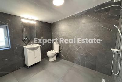 CASA PARTER-ULTRACENTRAL-OTOPENI-PRIMA INCHIRIERE - 7