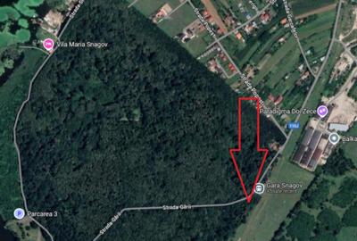 Teren de 2530 mp, în Gruiu - 2