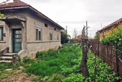 Casă cu 2 camere cu Teren 1500 Mp în Fusea - 4