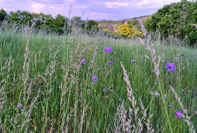 Spațiu comercial, în Moldovenești - 8