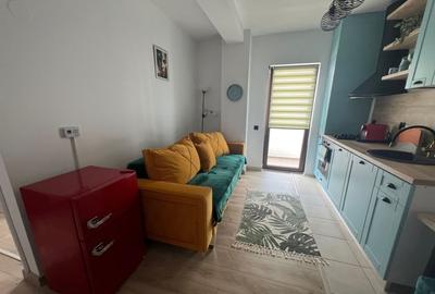 Apartament 2 camere - Doamna Stanca, etaj 6/7, mobilat modern - 2