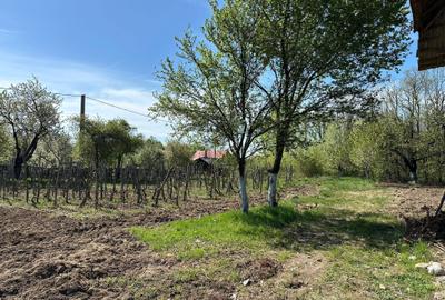 Casă cu 4 camere în Dănicei - 5
