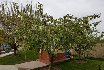 Spațiu comercial, în Ordoreanu - 3