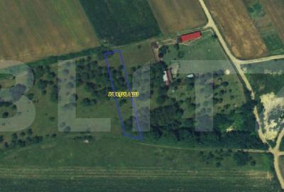 Spațiu comercial, în Cheia - 2