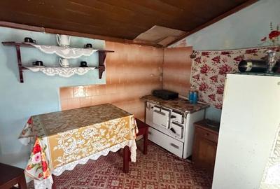 Casă cu 5 camere cu Teren 3252 Mp în Aghireșu - 3