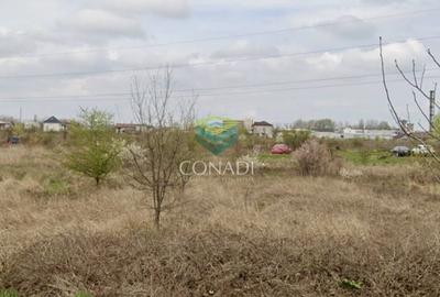 Teren Construcții intravilan de 27540 mp, în Sud-Est - 3