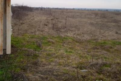 Teren de 5550 mp, în Dragomirești - 4