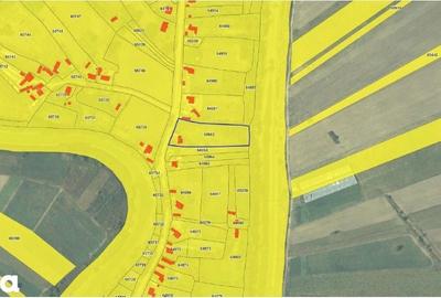 Teren de 4548 mp, în Golăiești - 9