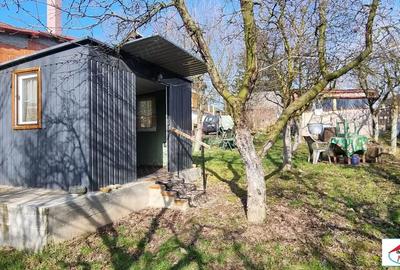 Teren de 1996 mp, în Viile Satu Mare - 4