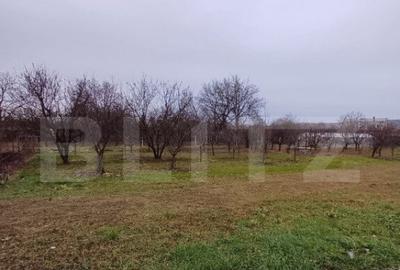 Teren de 2497 mp, în Turda - 4