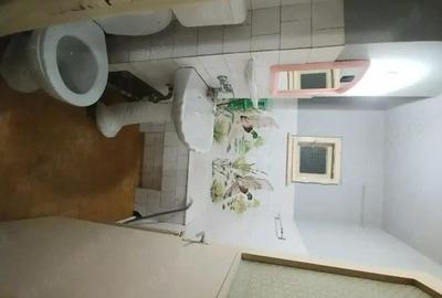 Apartament cu 2 camere decomandat în Gojdu - 7