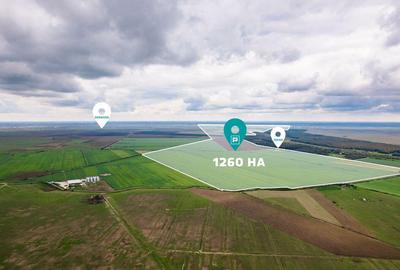 Teren 13500000 mp in Socodor - 15