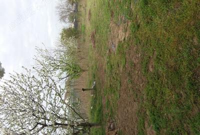 Vand casa noua in Chiscani - 6