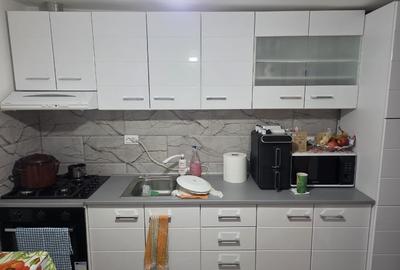 Casă individuală cu 2 camere cu Teren 910 Mp în Cârniceni - 9