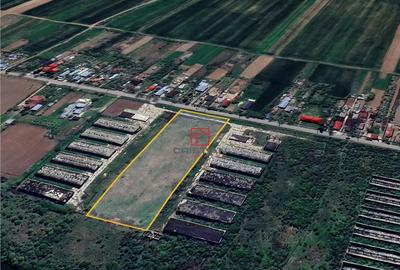 Teren de 10000 mp, în Butimanu