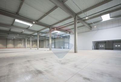 Hala de vanzare, Sc 7014mp, Zona Biharia - 7