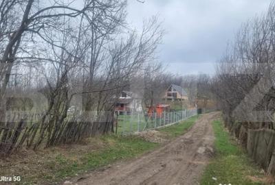 Teren în Schiulești - 11