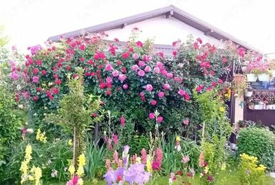 Casa 70mp complet utilata ?i mobilata 125 000 e negociabil - 2