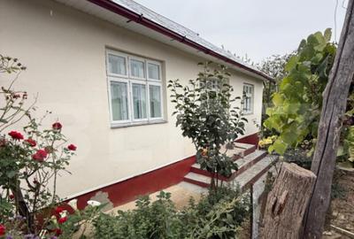 Casă cu 3 camere cu Teren 7200 Mp în Central