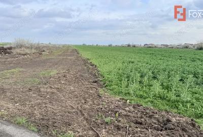 Teren de 502 mp, în Săcălaz