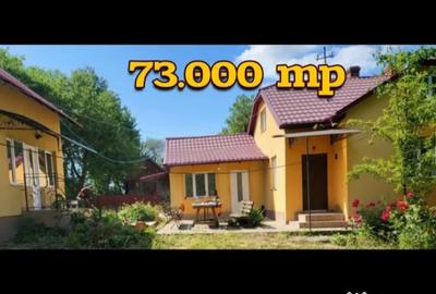 Casă cu 6 camere în Central - 2