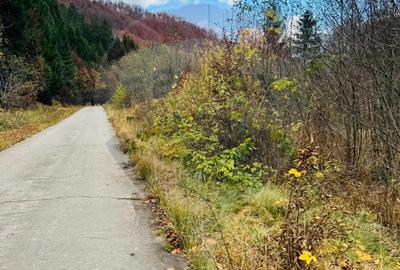 Teren 4,877mp Mara / Strada Principala - 2