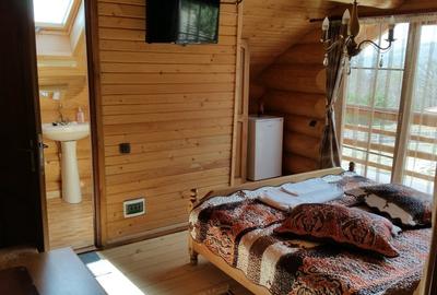 RATE Pensiune SUPERBA*** 12 cam piscina pe mal Lac Mocearu  Mtii. Buzaului - 11