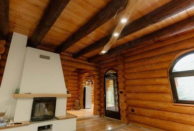 Cabana de vanzare Vatra Dornei - 3