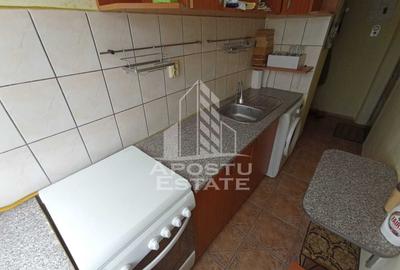 Apartament cu 2 camere nedecomandat, mobilat în Iosefin - 6