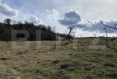 Teren de 7500 mp, în Central - 7