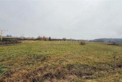 Teren de 101 mp, în Tăuții-Măgherăuș