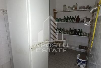 Casa individuala + garaj si anexa, oportunitate investitie, Sagului! - 17
