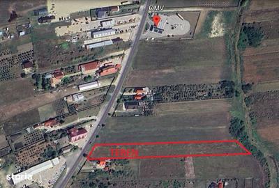 Teren de 7580 mp, în Albota - 1