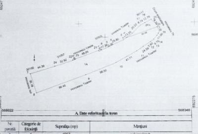 Teren de 7500 mp, în Arbore - 1