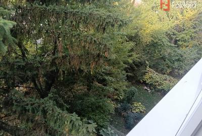 Apartament de vanzare cu 2 camere la etajul 3, zona Sagului - 11