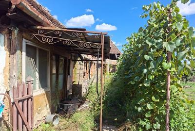 Teren Construcții intravilan de 3500 mp, în Sângeorzu Nou - 3