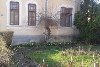 Casă cu 4 camere în Fălticeni - 3