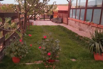 Duplex cu 3 camere in zona Bucium - Plopii fara Sot - 2
