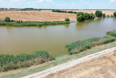 Teren de 6500 mp, în Frumușani - 16