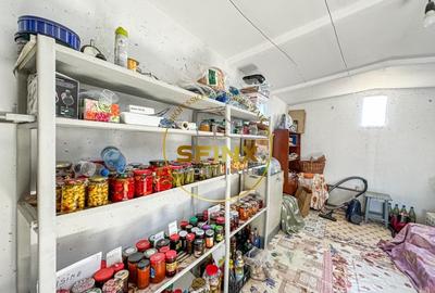 De vanzare ferma Calarasi in stare de conservare - sere - livada - 36