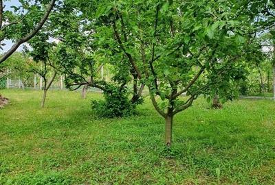 Casa | 9 camere | Garaj | Piscina | Teren 3.000 mp | Comision 0% - 4