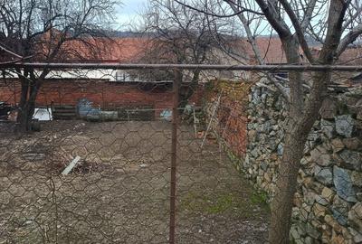 Casă cu 3 camere cu Teren 420 Mp în Eșelnița - 2