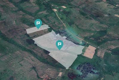 Teren de 87 Hectare de Arendat in Bara, Timi? - 1