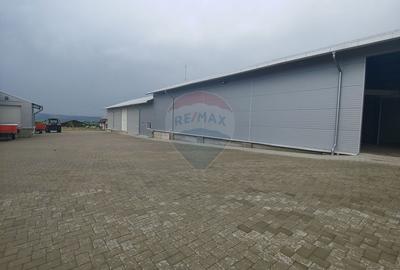 Depozit refrigerare de 292mp Dumbraveni, Suceava - 3