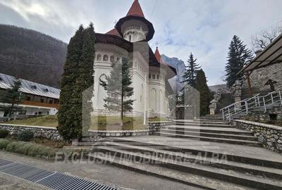 Casa de vacanta cu potential de Pensiune Turistica, Ramet - 18