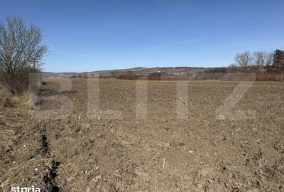 Teren de 4000 mp, în Hereclean - 2