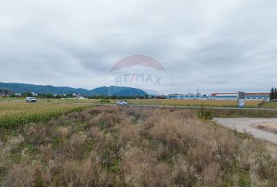 Un lot de casa intrare Sacele 790 mp + 3 loturi de 440mp - 6